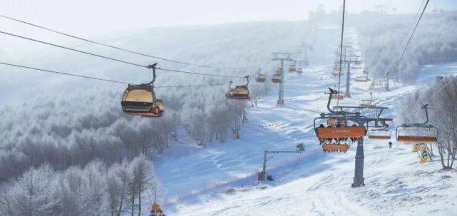 推荐崇礼七大滑雪场，崇礼冬日美景的滑雪场攻略