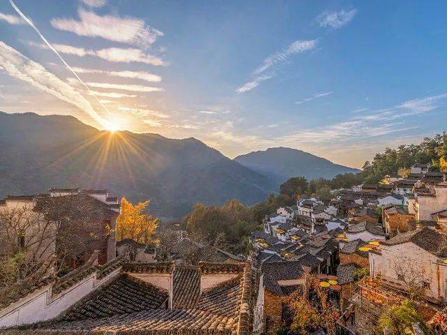 国内3月赏花最好的地方是哪里？踏青的好时节花去处推荐