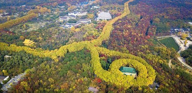 江浙第一别墅，曾是宋美龄的常住地，耗费36万银元建造