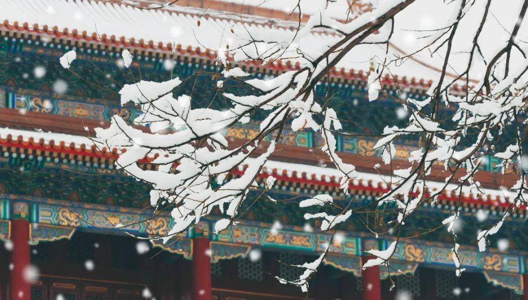 来北京旅游推荐必去的景点，我一定会说：去故宫