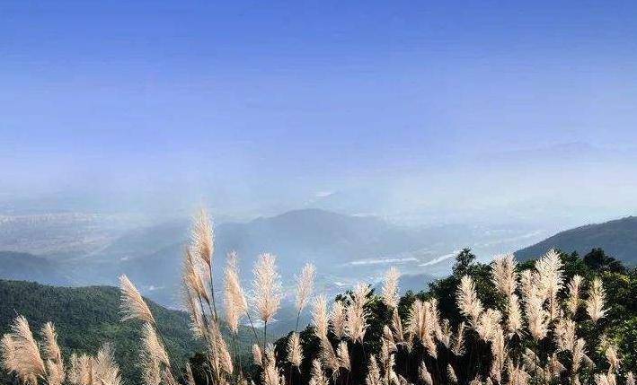 广东银瓶山森林公园景区，人称东莞张家界