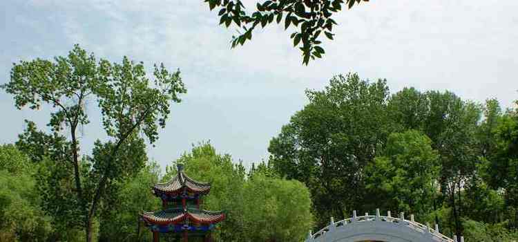 天津西沽公园介绍，可与西湖争辉的公园