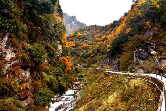 被称作四川北欧美地_喇叭河自驾环线攻略