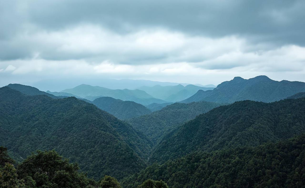 江西4A级风景名胜区三百山，有森林氧吧的美誉