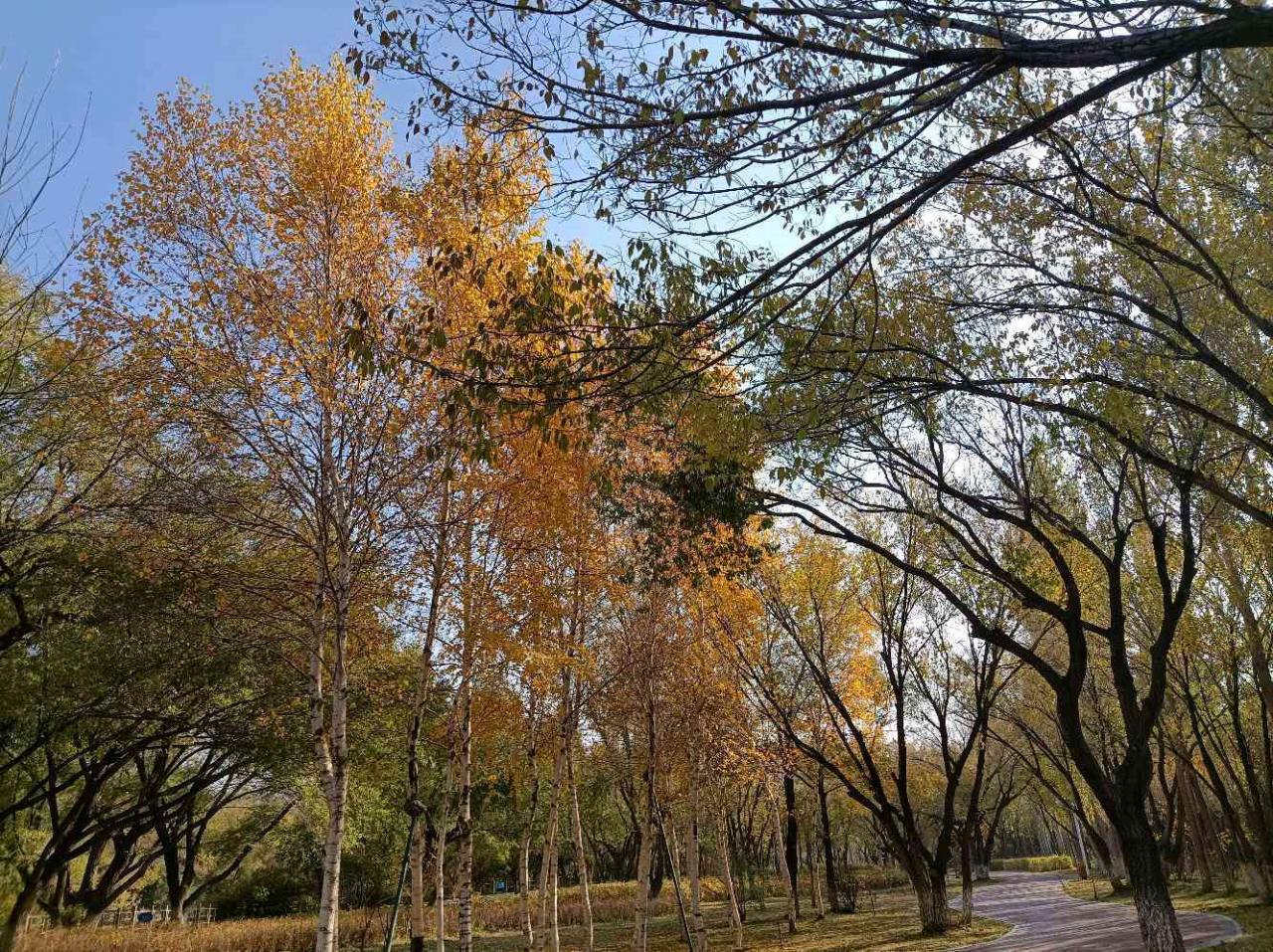 乌鲁木齐秋季必去公园，燕尔窝风景区游玩攻略