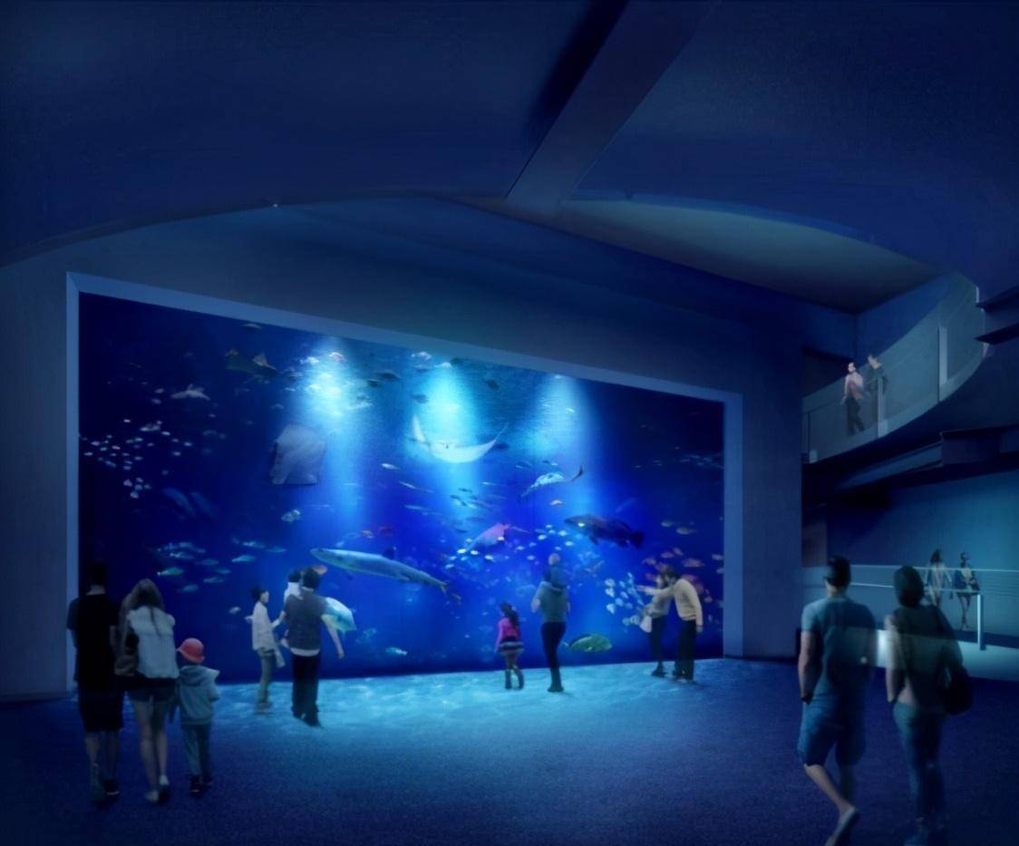 四国自由行必去新景点，四国水族馆
