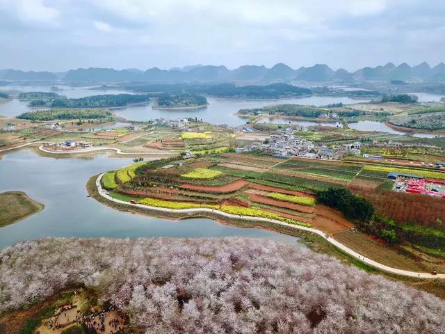 贵州三月赏花景点推荐，赏花旅游景点时间攻略
