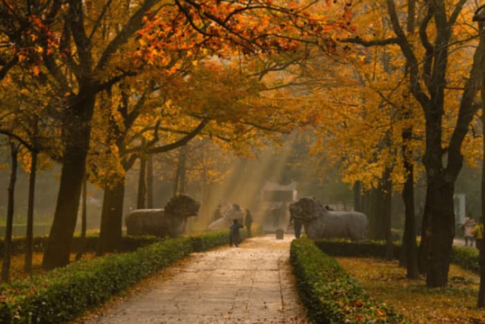 南京周边秋景好的地方-南京秋天最美的旅游景点