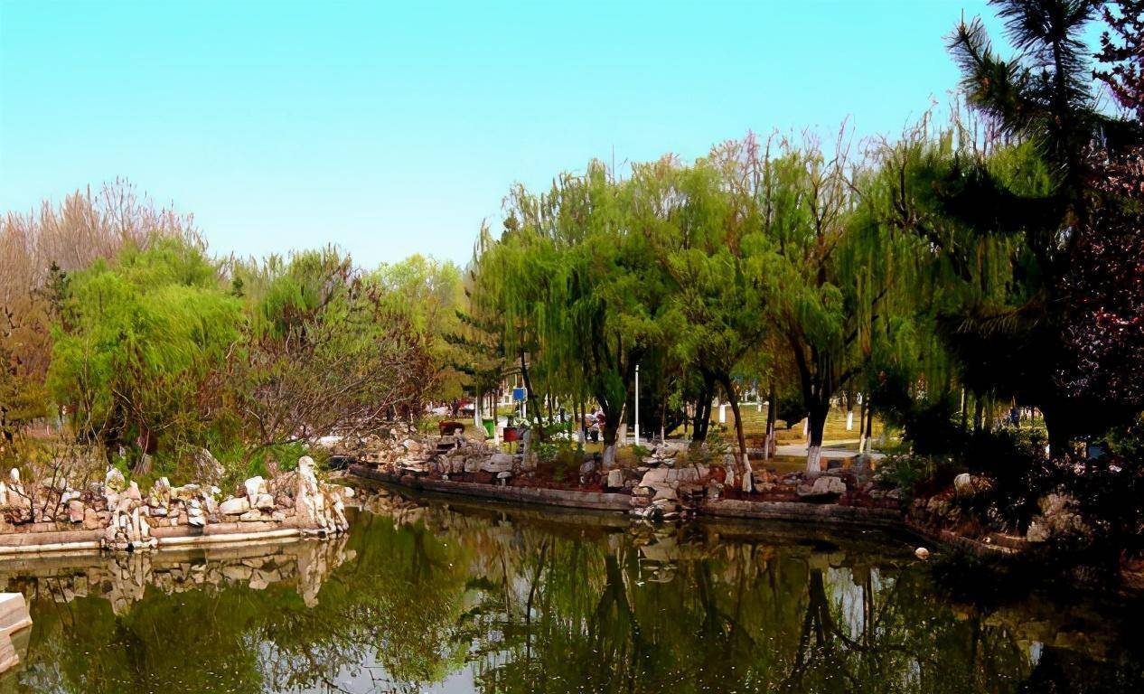 山东公园走红，靠近人民路，门票免费