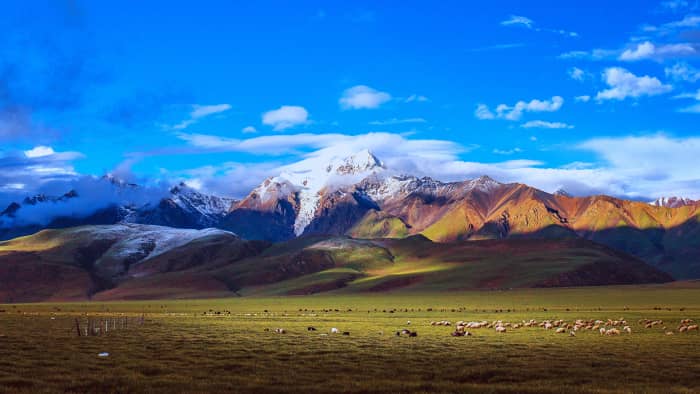 西藏自驾游经历分享-包含了西藏路线景点美食全攻略