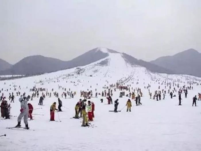 滑雪不用去国外-国内三大滑雪好去处