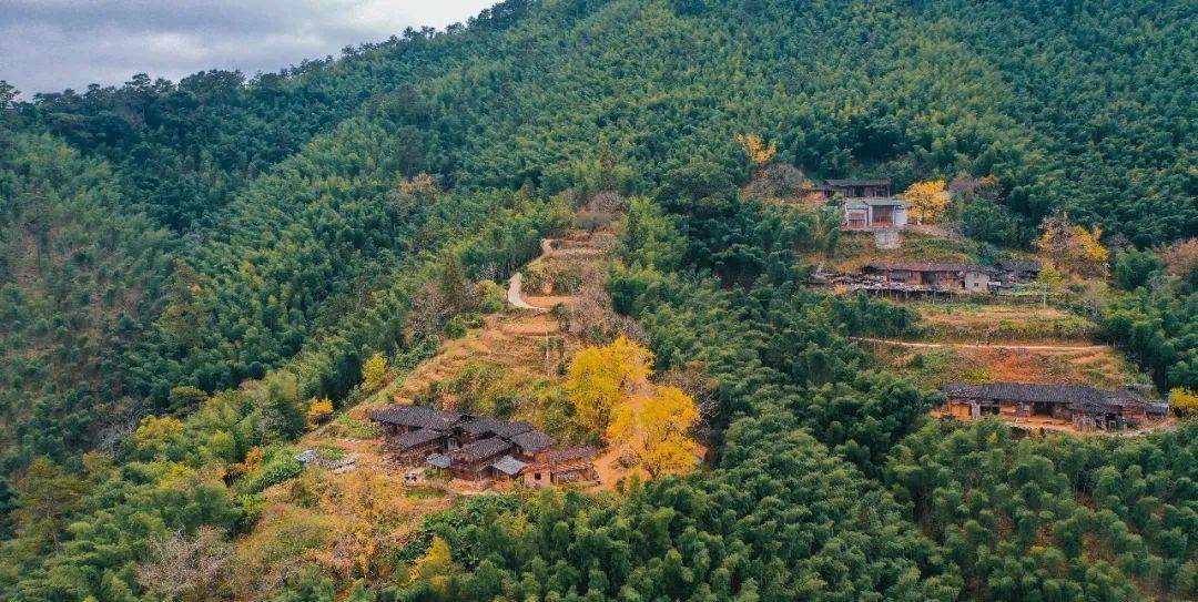 泉州丁荣村旅游介绍，秋天来看银杏树景色