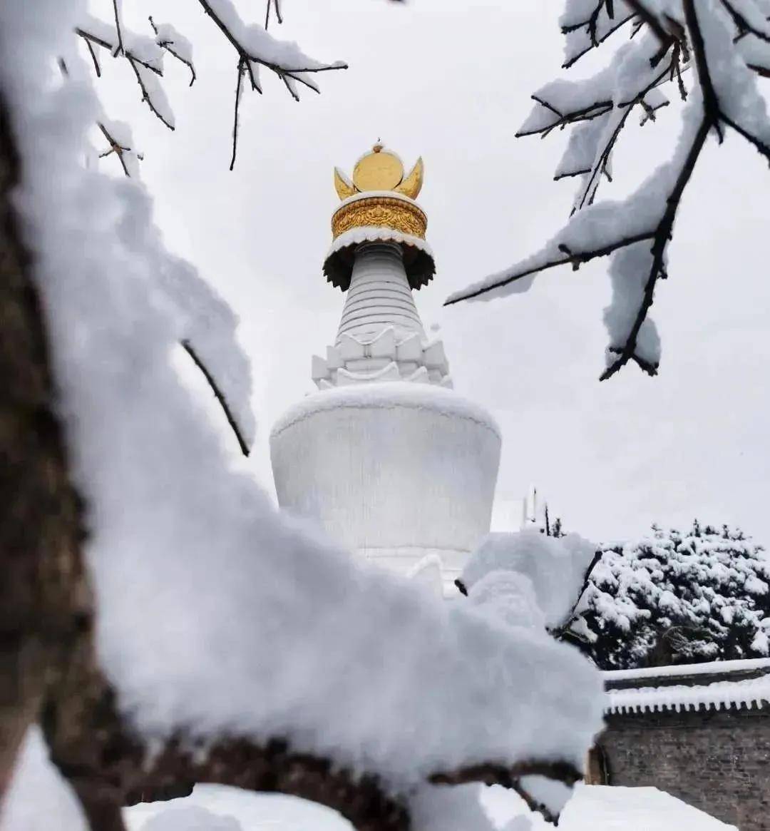 五台山冬天的景色有哪些？五台山白塔寺图片欣赏
