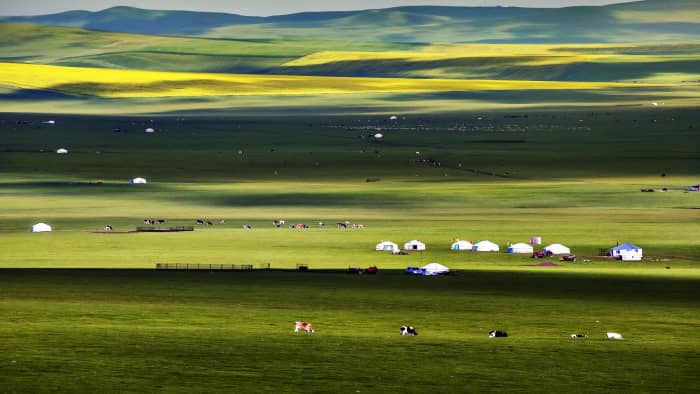 在内蒙古待了一个月-整理了一份内蒙古呼伦贝尔自由行旅游建议攻略