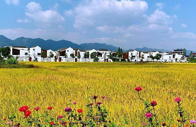 浙江“空心农村”却成为杭州“最美还建房”