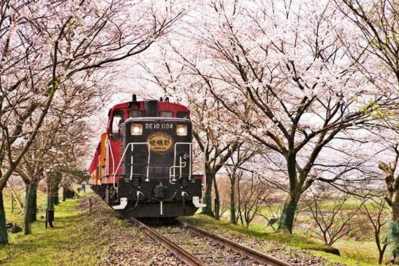 第一次到日本需要多少预算？小宇分享去日本旅游攻略