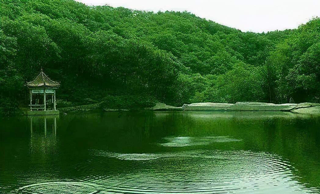 河南一大型公园走红，占地面积1716公顷