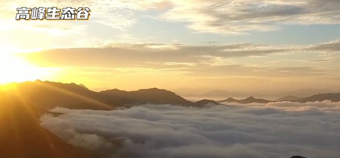 去了漳州平和旅游一定要做的事