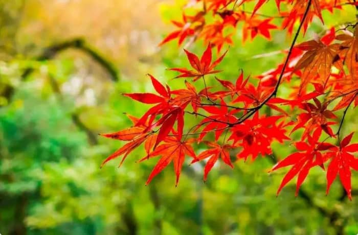 湖南长沙三日游自由行攻略_10个小众旅游景点重点推荐