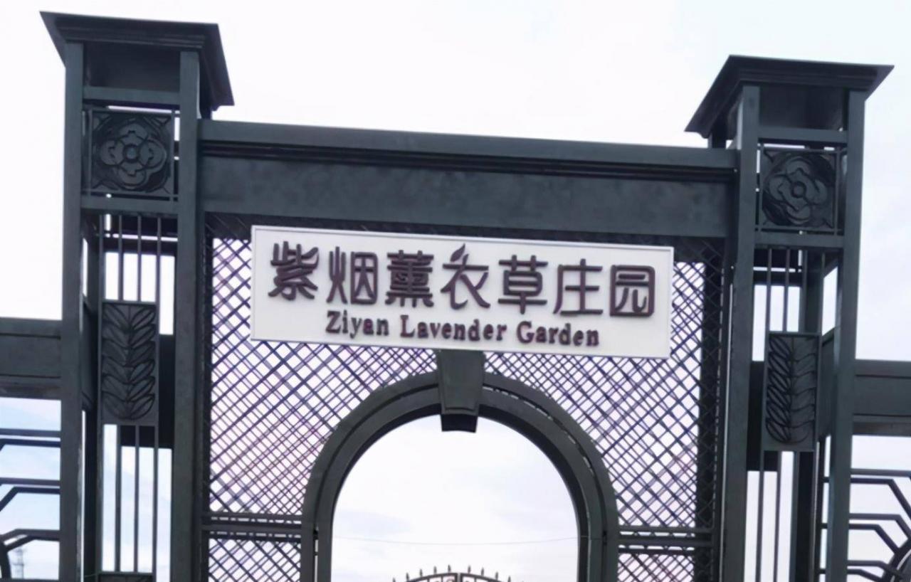 中国最像法国庄园的景点，游客称我来到普罗旺斯了