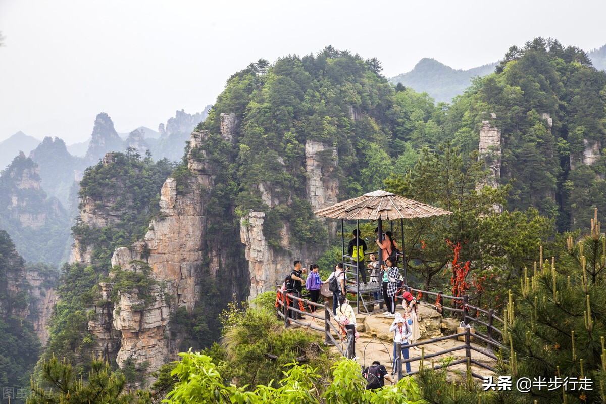 湖南张家界旅游攻略自由行攻略(张家界必去的三个景点)