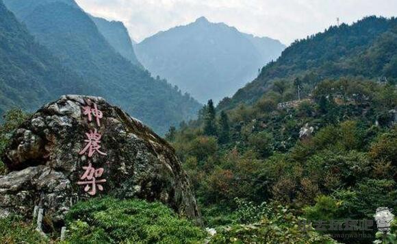 疫情过后相约湖北，湖北神农架旅游攻略