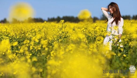 国内赏油菜花胜地推荐，除了江西婺源油菜花你还看过哪些？