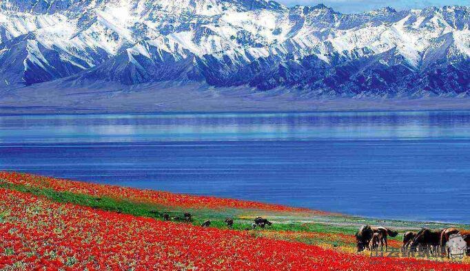 第一次去新疆旅游，北疆好还是南疆好？