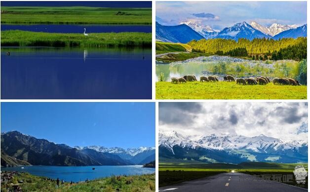第一次去新疆旅游，北疆好还是南疆好？