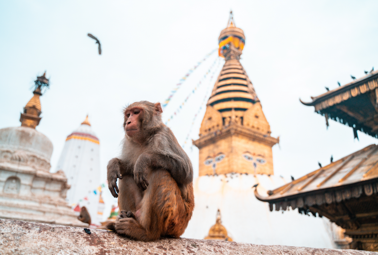 尼泊尔旅游景点大全，让你进入一个不一样的世界