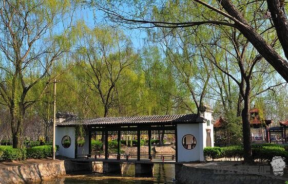 山东必去五大旅游景点