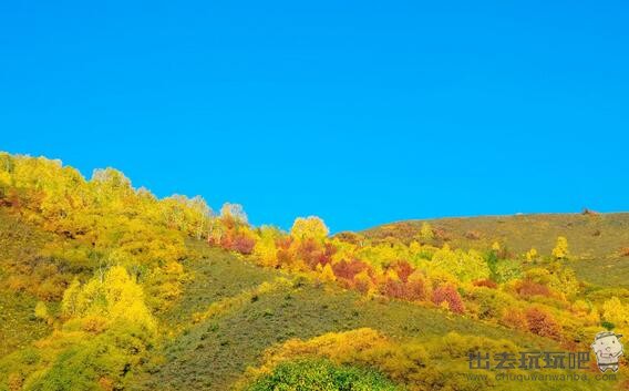 阿尔山美景有哪些？让你看看夏秋季节的阿尔山有多美！