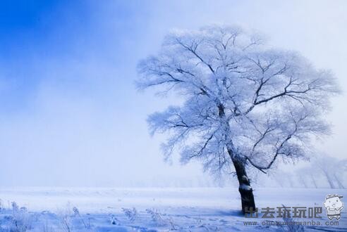 想知道东北旅游必去景点都有哪些吗？东北最值得去的旅游景点都在这里，让你不虚此行！