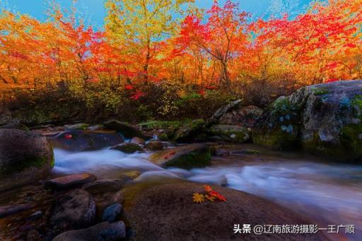 尼康z7如何升级眼部？尼康z7有必要升级二代吗