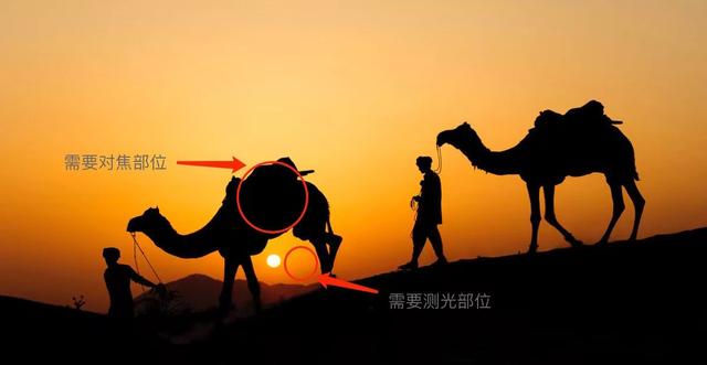 尼康相机如何调节测光？尼康f3相机测光图解