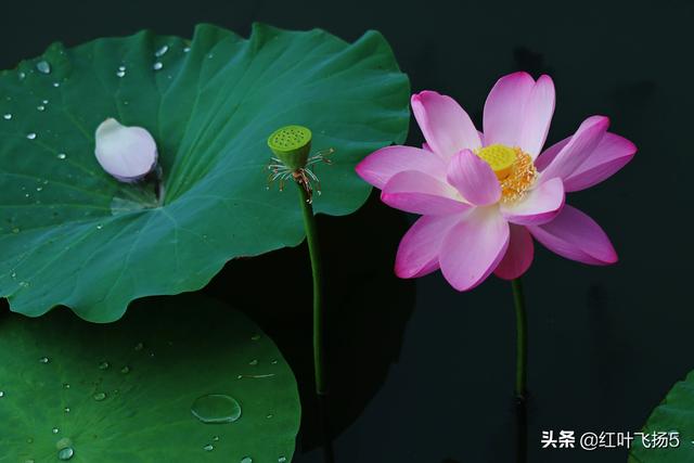 拍雨用什么时候？雨要下到什么时候