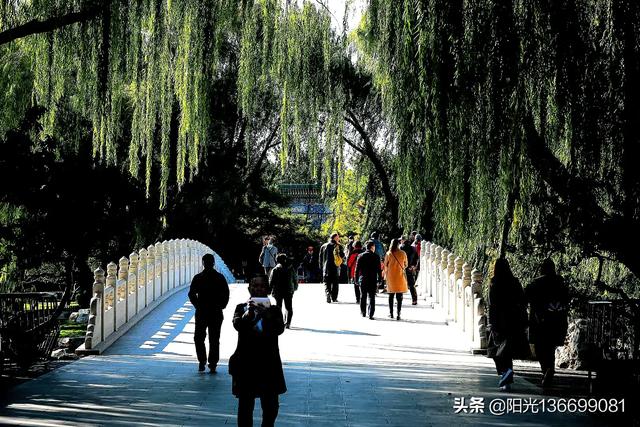 什么是摄影的构成？什么是摄影的构成关系