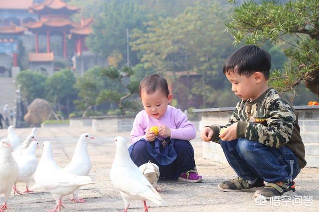 如何看佳能镜头年代？佳能镜头年代编号