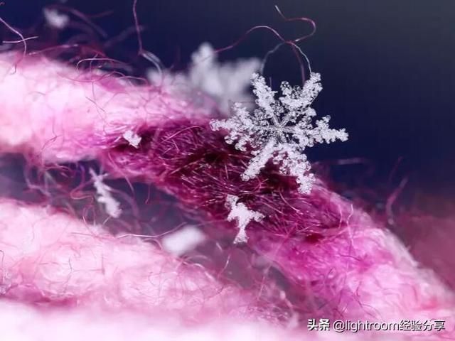 雪花看不见怎么拍？眼前突然有雪花然后就看不见了