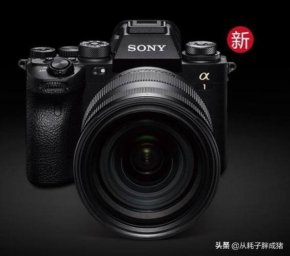 尼康time是什么意思