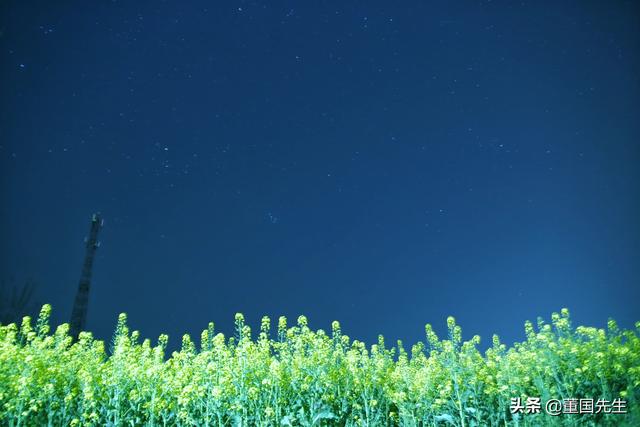 什么单反镜头可以拍星空-单反拍星空用什么镜头