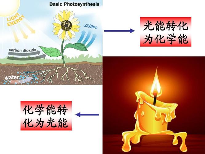 照相机将光能转化什么能