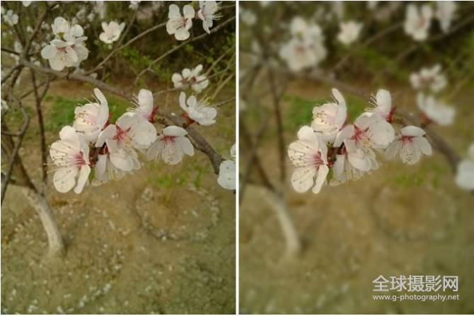 什么样的镜头背景虚化更好-拍人物背景虚化用什么镜头
