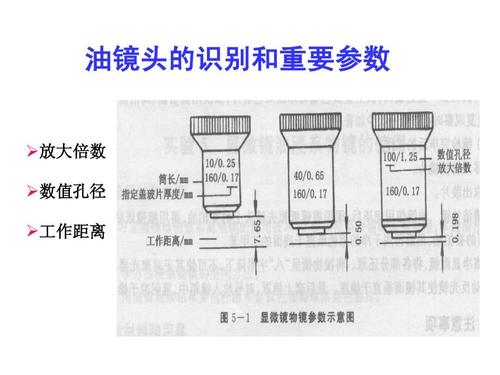 镜头放大倍数怎么看-扫描电镜放大倍数怎么看