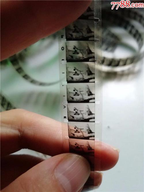 怎么知道胶卷拍完了-怎么知道胶卷拍完了没有
