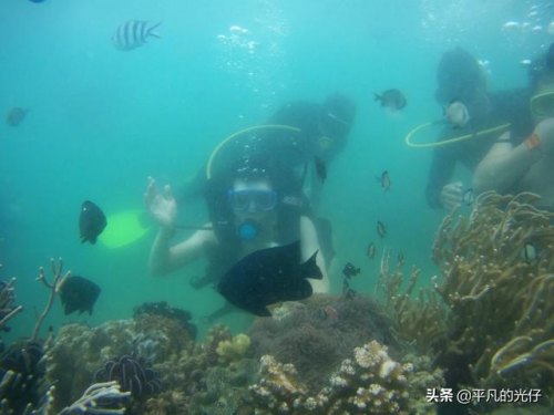水下的摄影如何分析？如何分析摄影照片