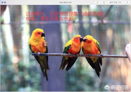 什么微单拍照有德味？微商一般用什么拍照软件