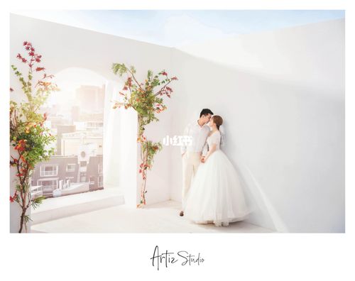 artiz studio是什么
