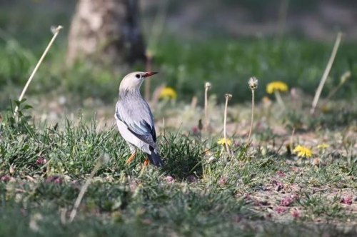 d810群组对焦怎么样-d810群组对焦怎么使用