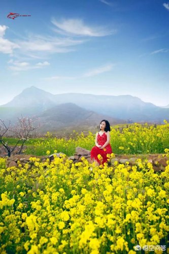 如何拍门源油菜花-门源油菜花旅游攻略